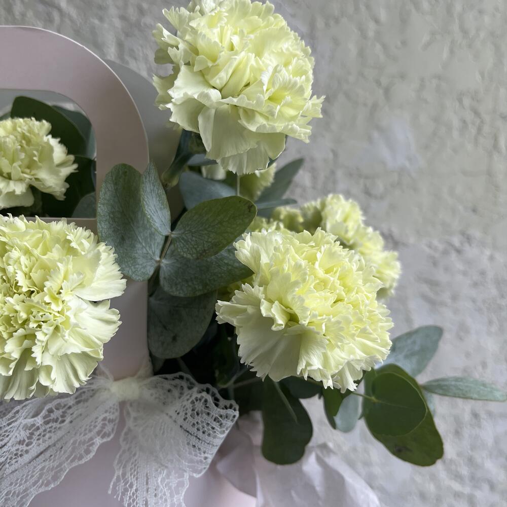 Стойкие , нежные салатовые диантусы с ароматным эвкалиптом в сумочке «Fresh flower»