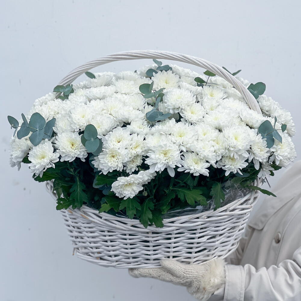 Большая корзина с хризантемами