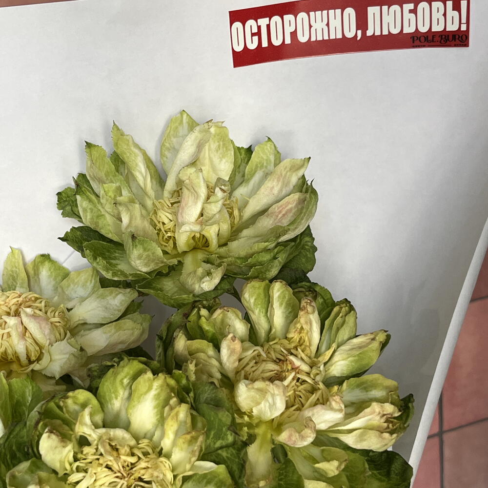 Монобукет из вегги