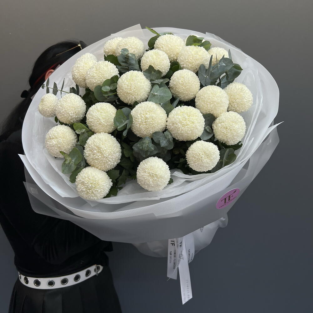 Хризантемы Момоко 25шт / Momoko 25pcs