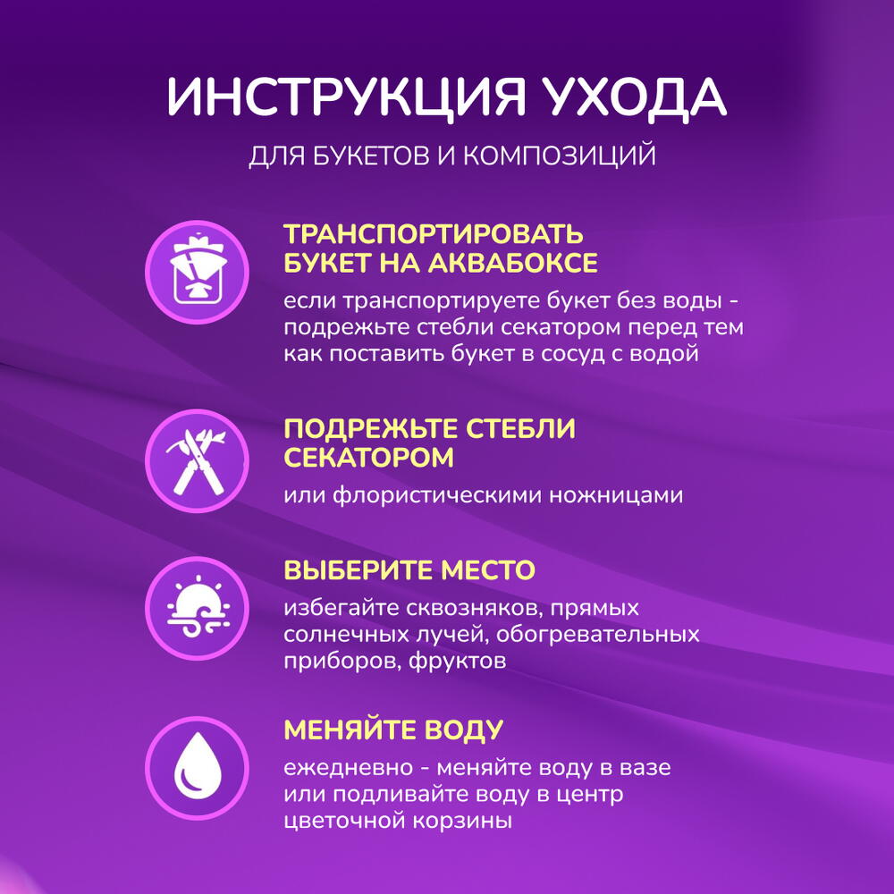 5 гортензий "Джамбо"