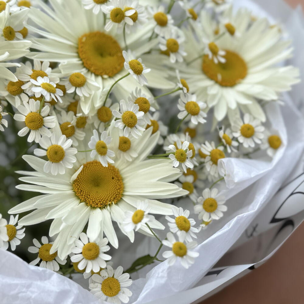 Букет ромашек