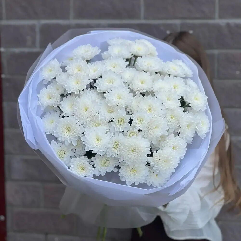 Хризантема кустовая