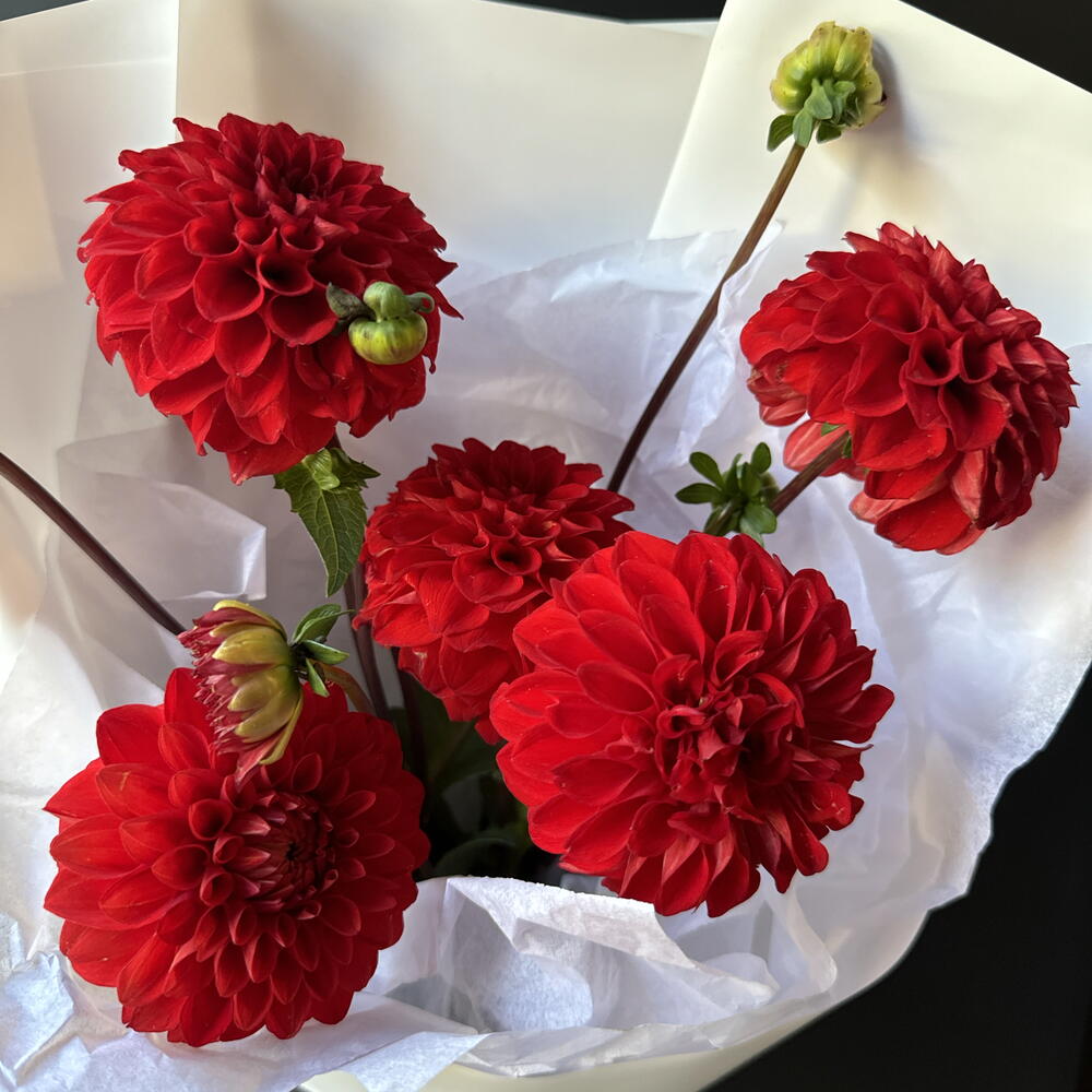 Букет «Red»