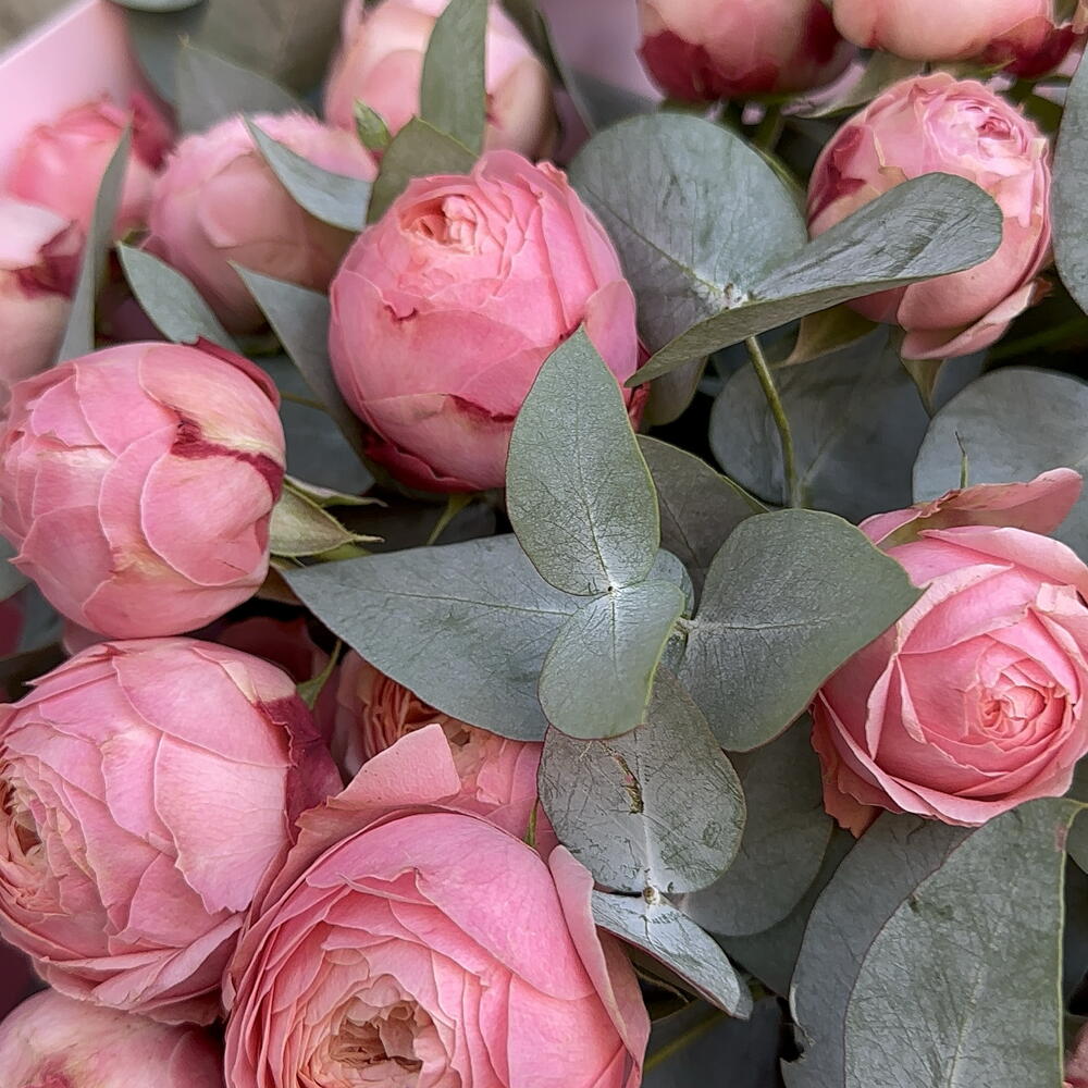 Bouquet 222