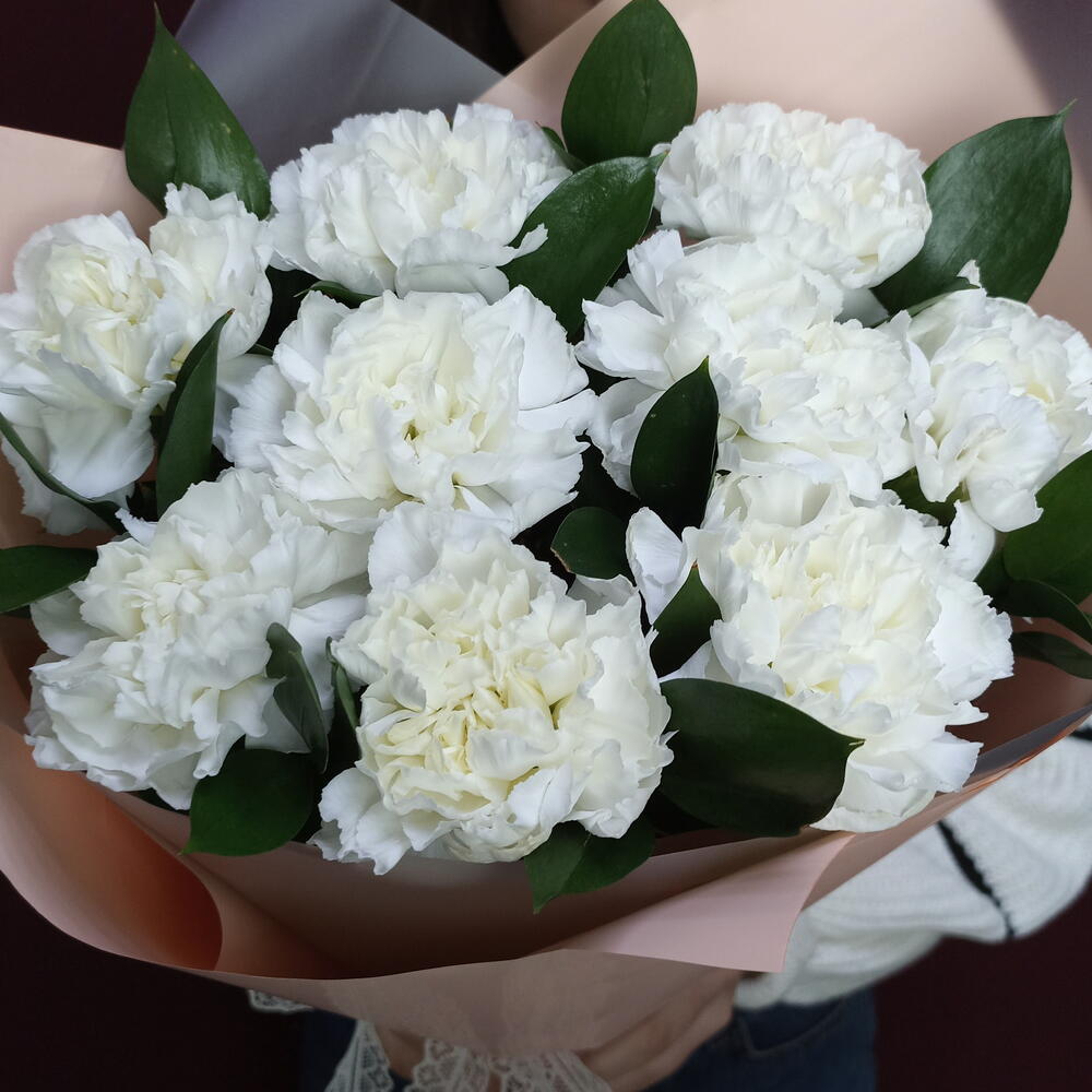 Белые диантусы с рускусом в упаковке