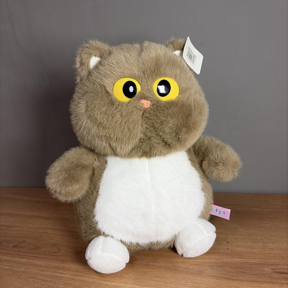 Кот с большими глазами