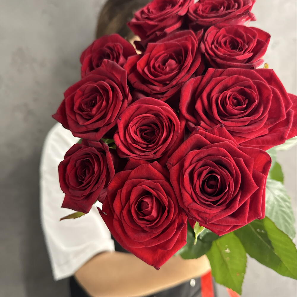 Розы РФ под ленту 🌸