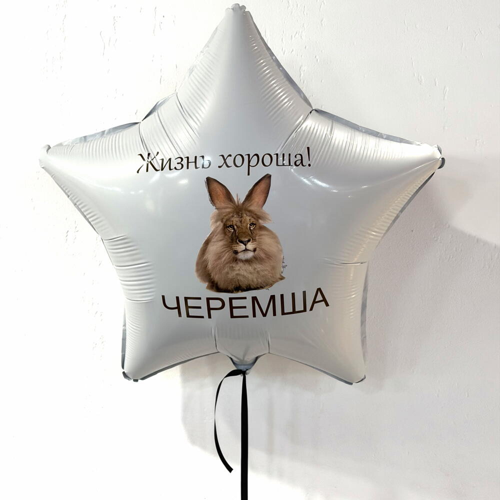 Шар Черемша