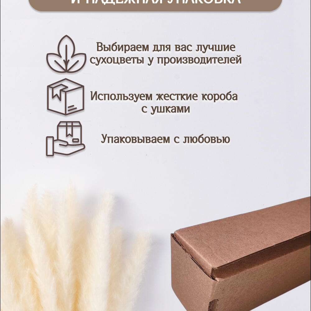 Пампас мини белый 45 шт. Высший сорт М265