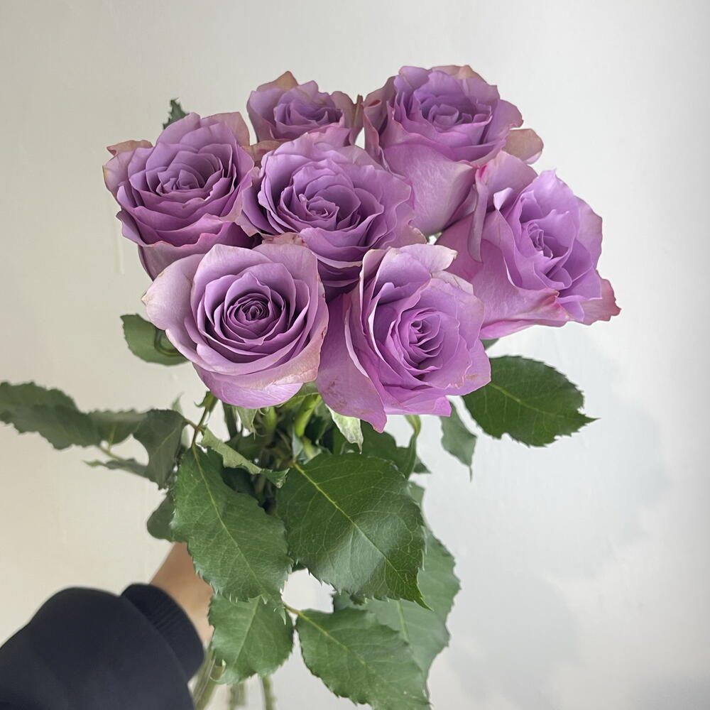 Букет роз фиолетовых 💜7