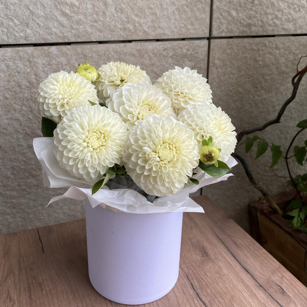 Шляпная коробка с георгинами