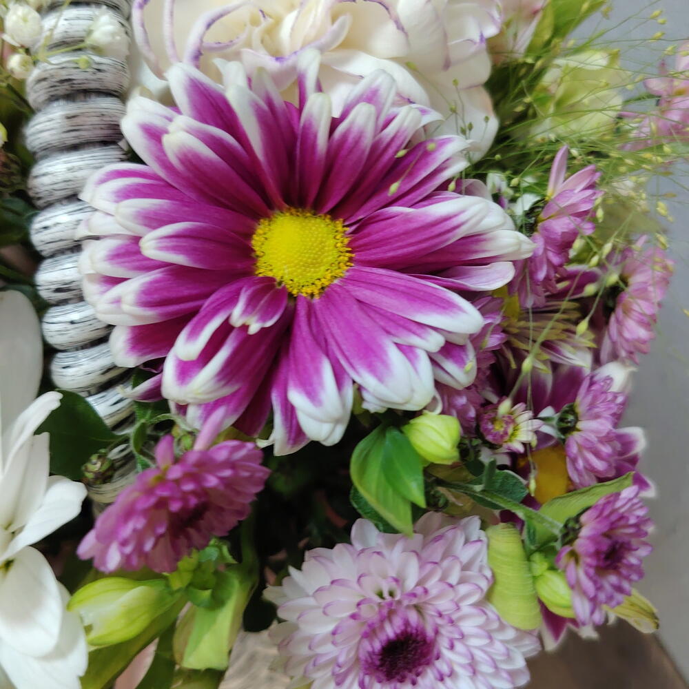 Бигуди