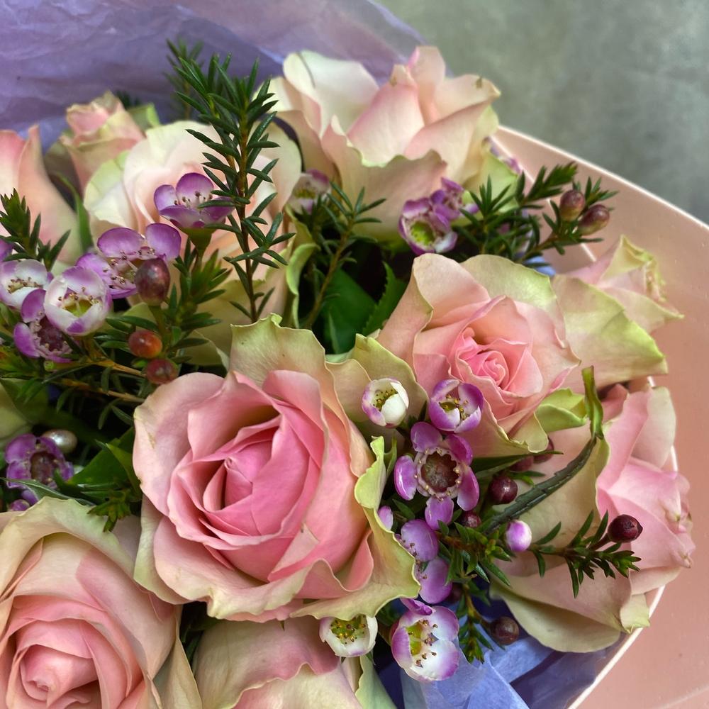 Моно роз🌸