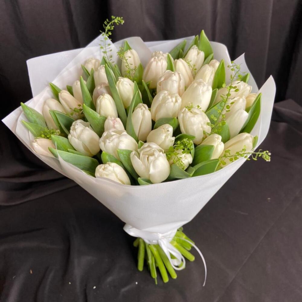 White tulips