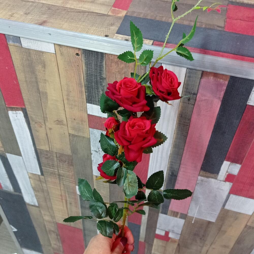 Роза кустовая