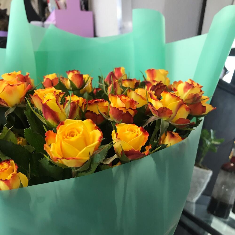 Пряное солнце