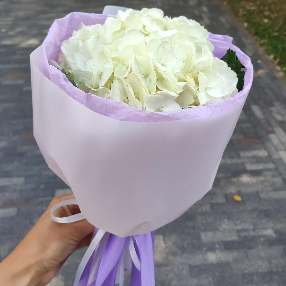 Гортензия