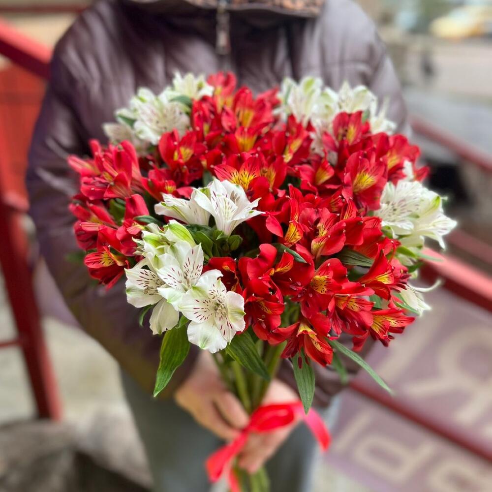 Красная и белая альстромерия