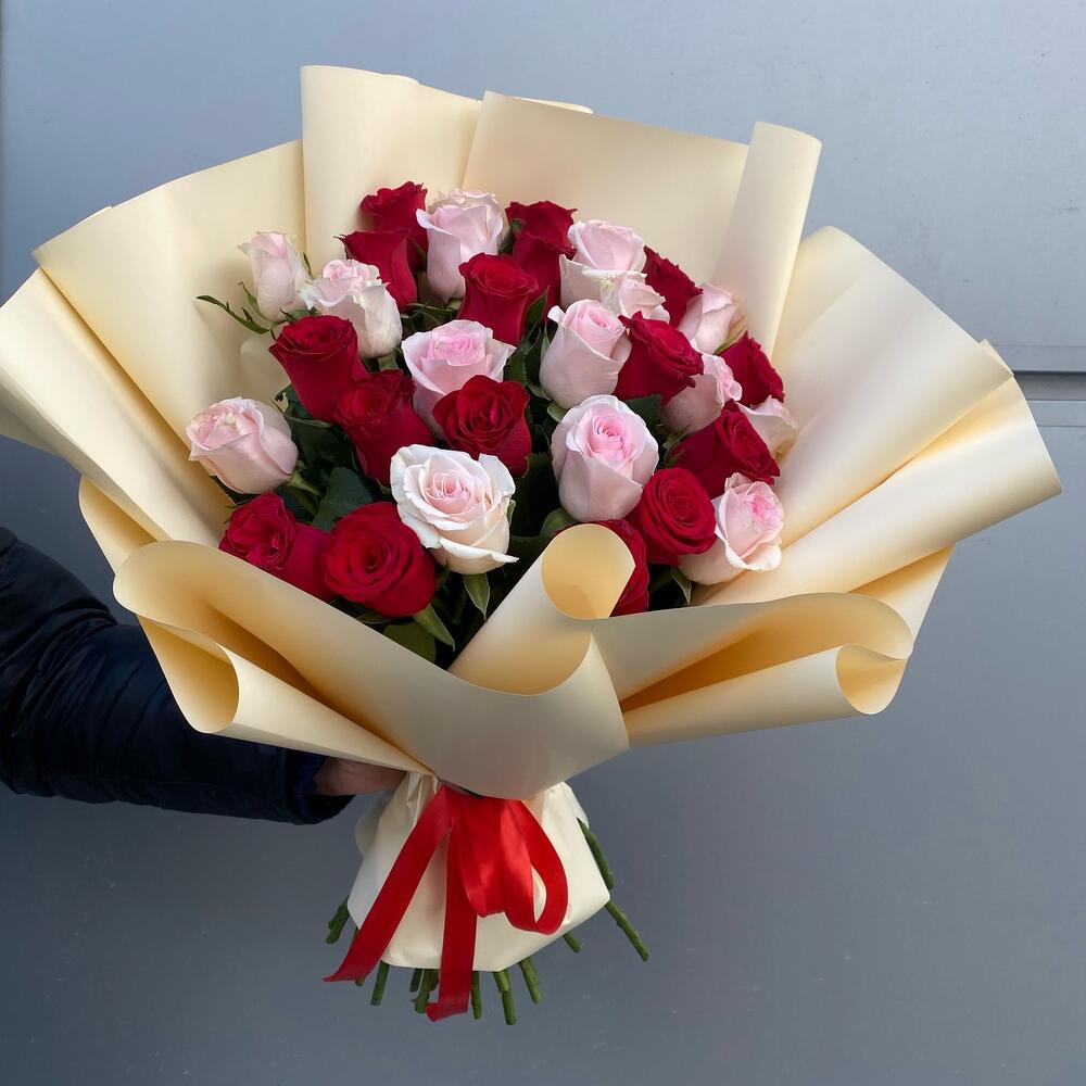 31 rosa