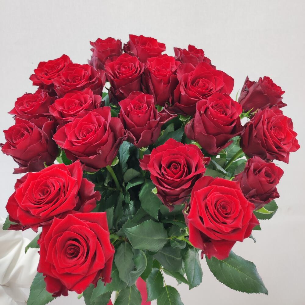 Розы красные, Flowers Yerevan, Armenia, buy at a price of 20000 AMD, Mono Bouquets on Catalina