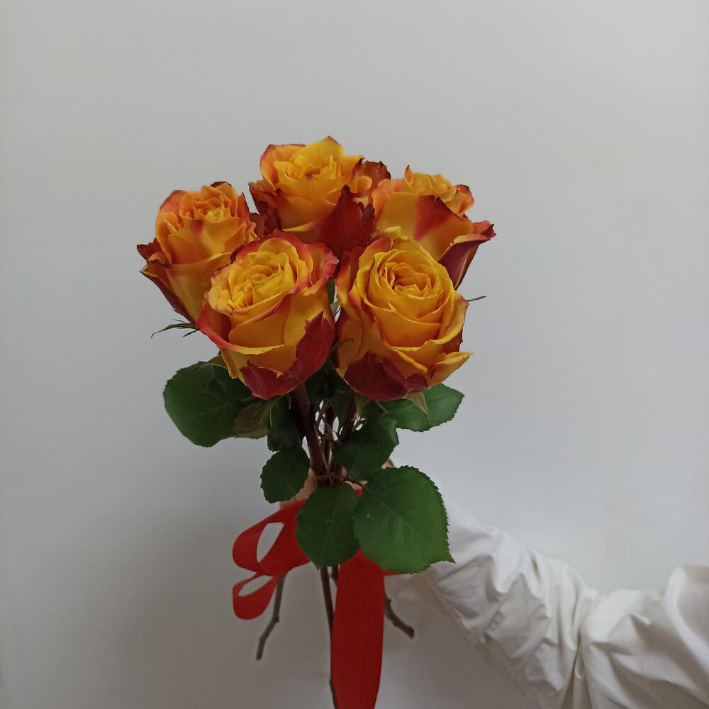 Роза Эквадор 5