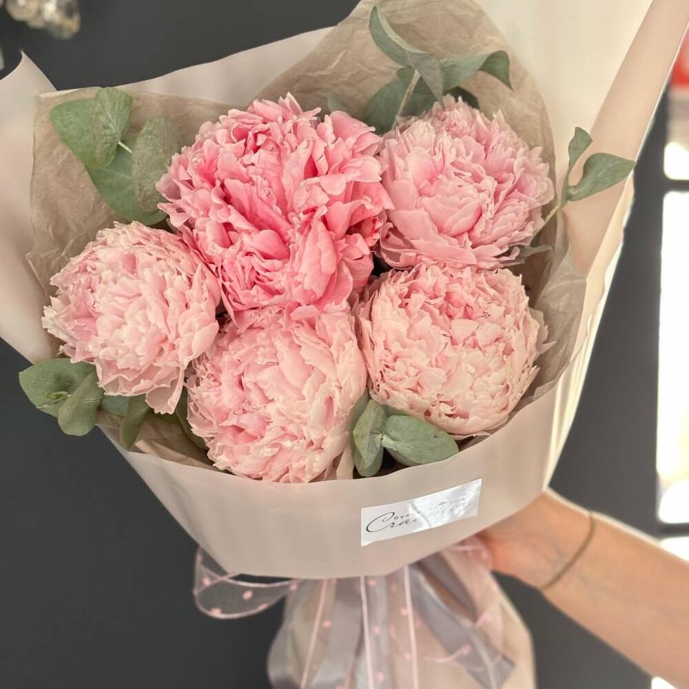 Пиономания 💕