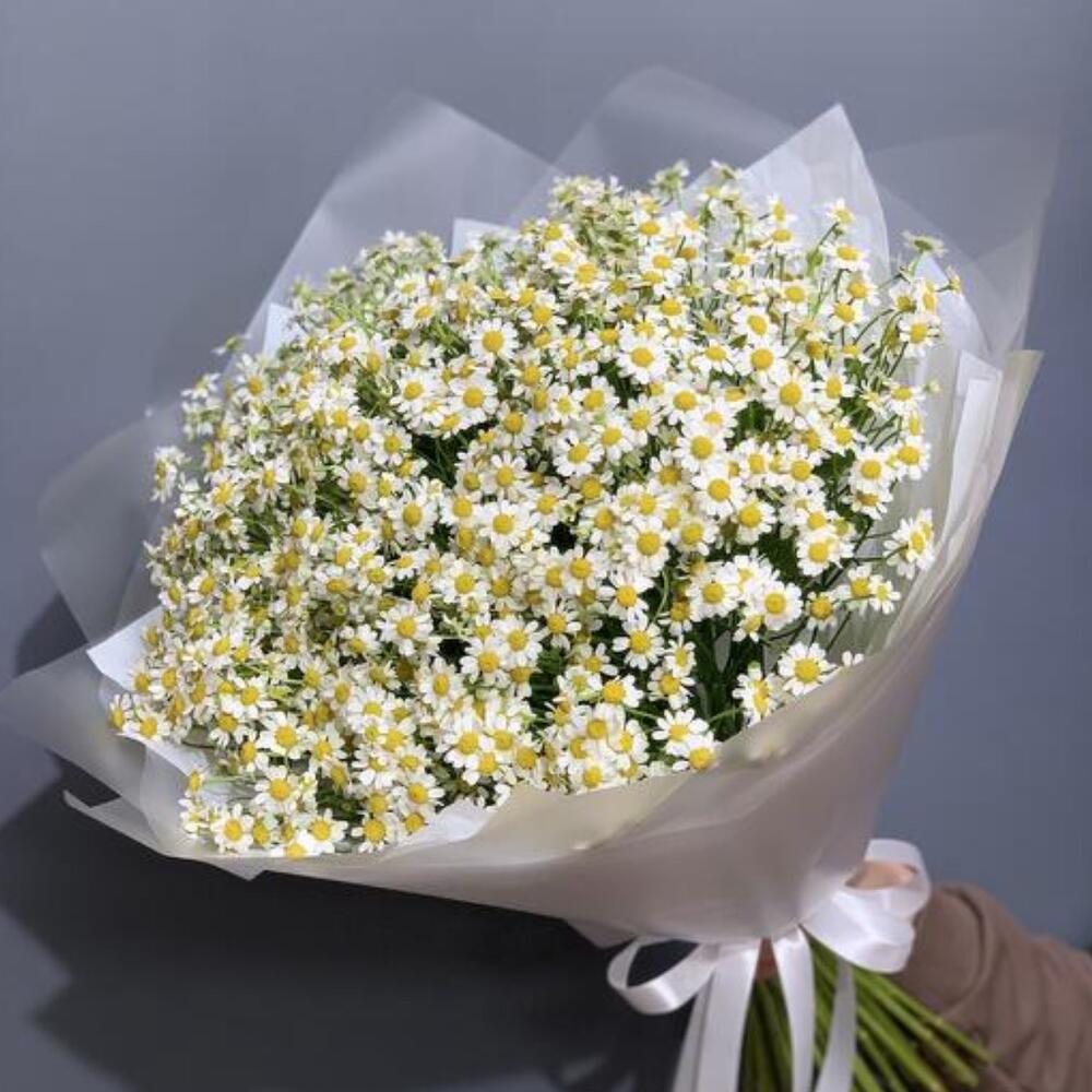 Букет из ромашек (35 шт)