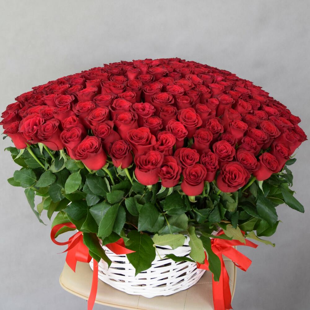 Корзина из 251 кенийской розы