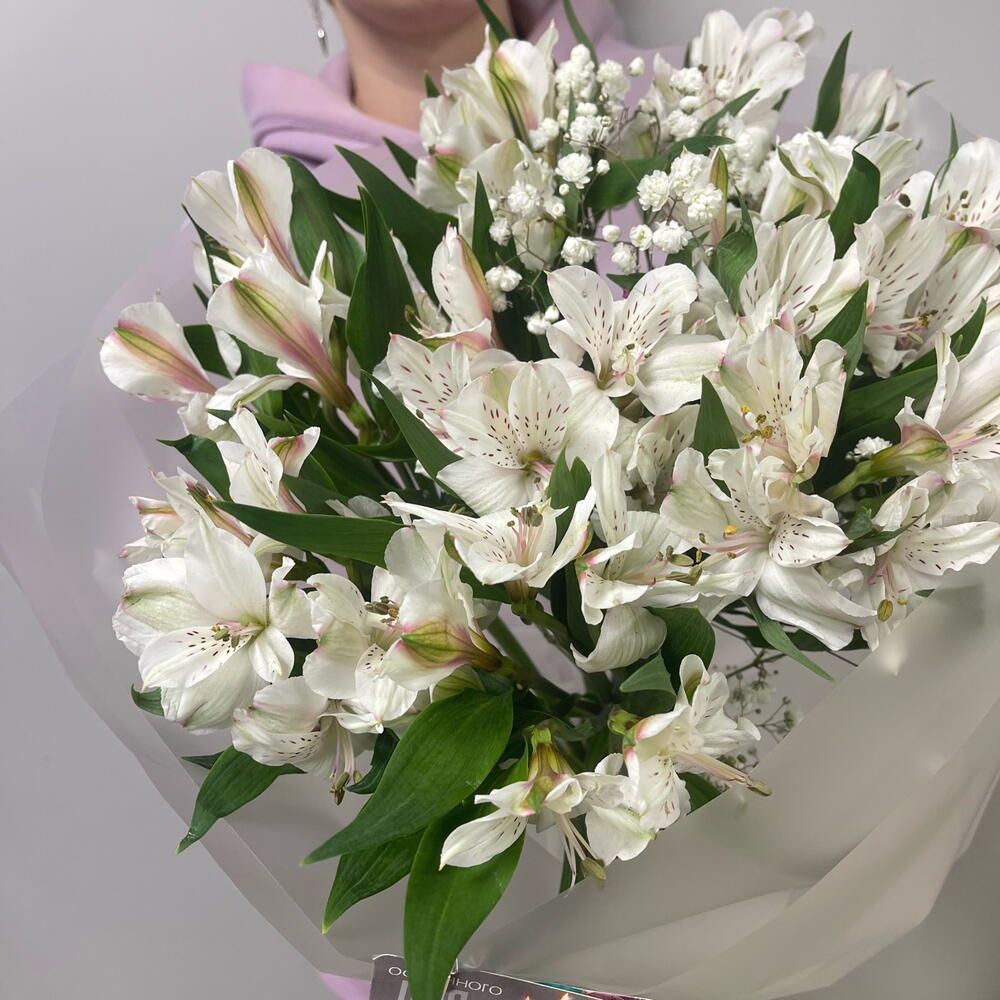 Альстромерия