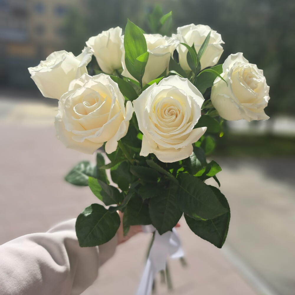 7 белых роз сорта Венделла