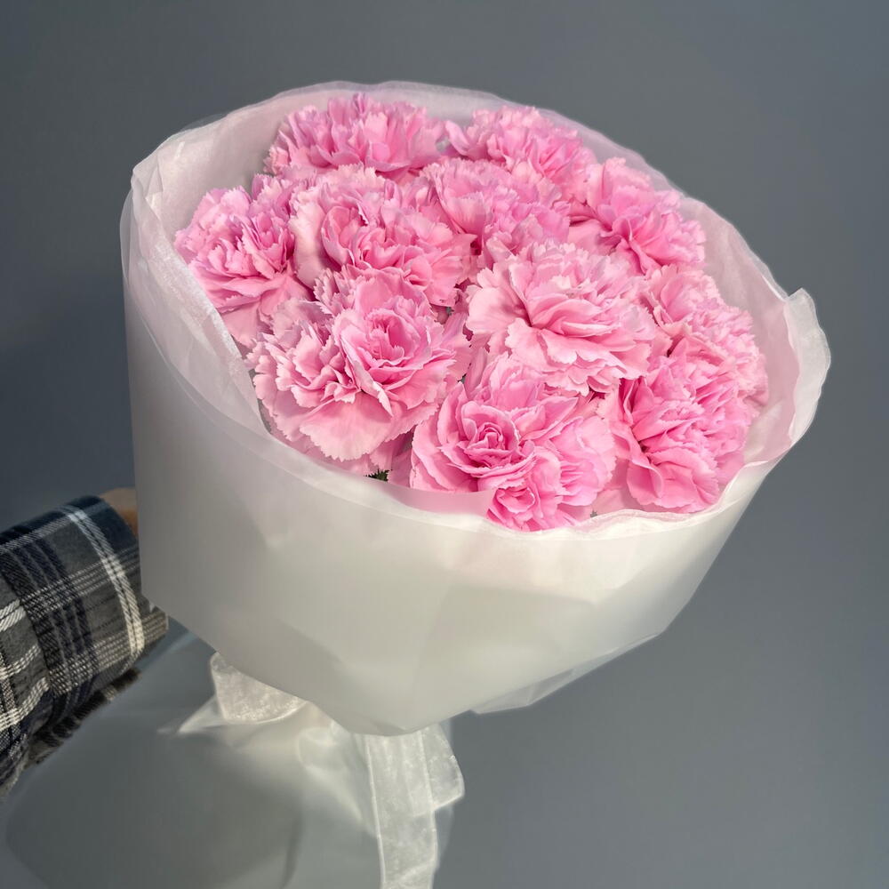 Нежное моно из розовых диантусов