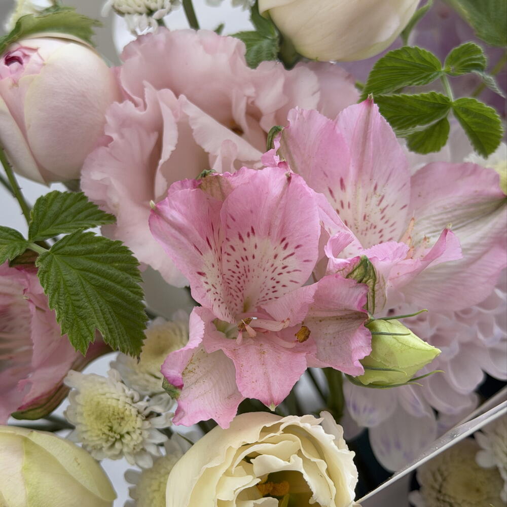Композиция 🌸