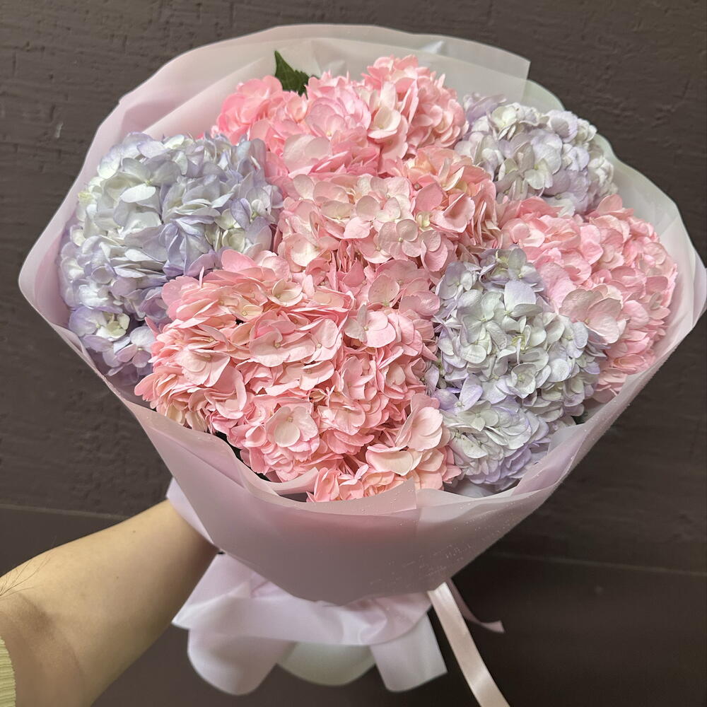 Гортензия 🩷💜
