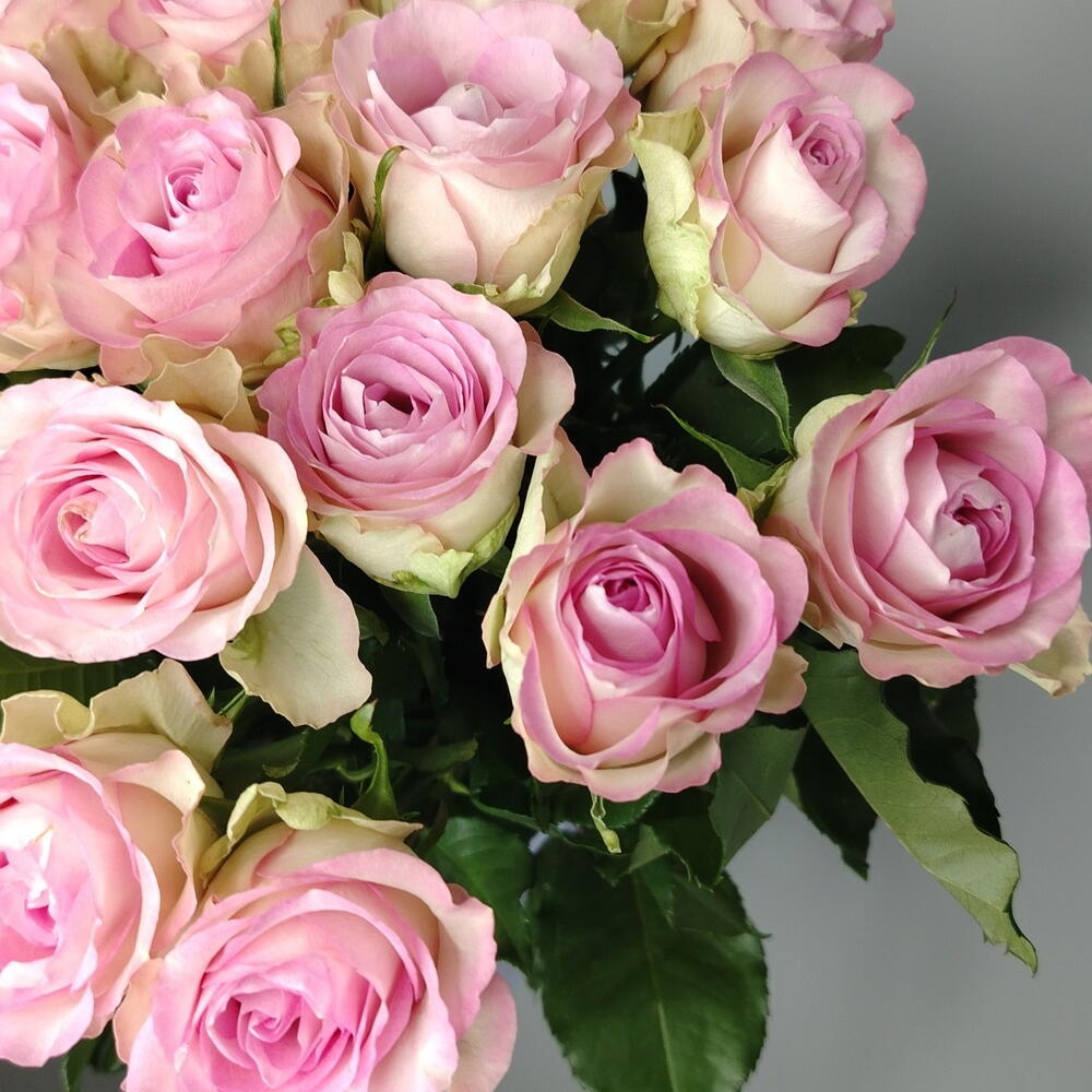 🌸 Раза 🌸 50 см под ленту