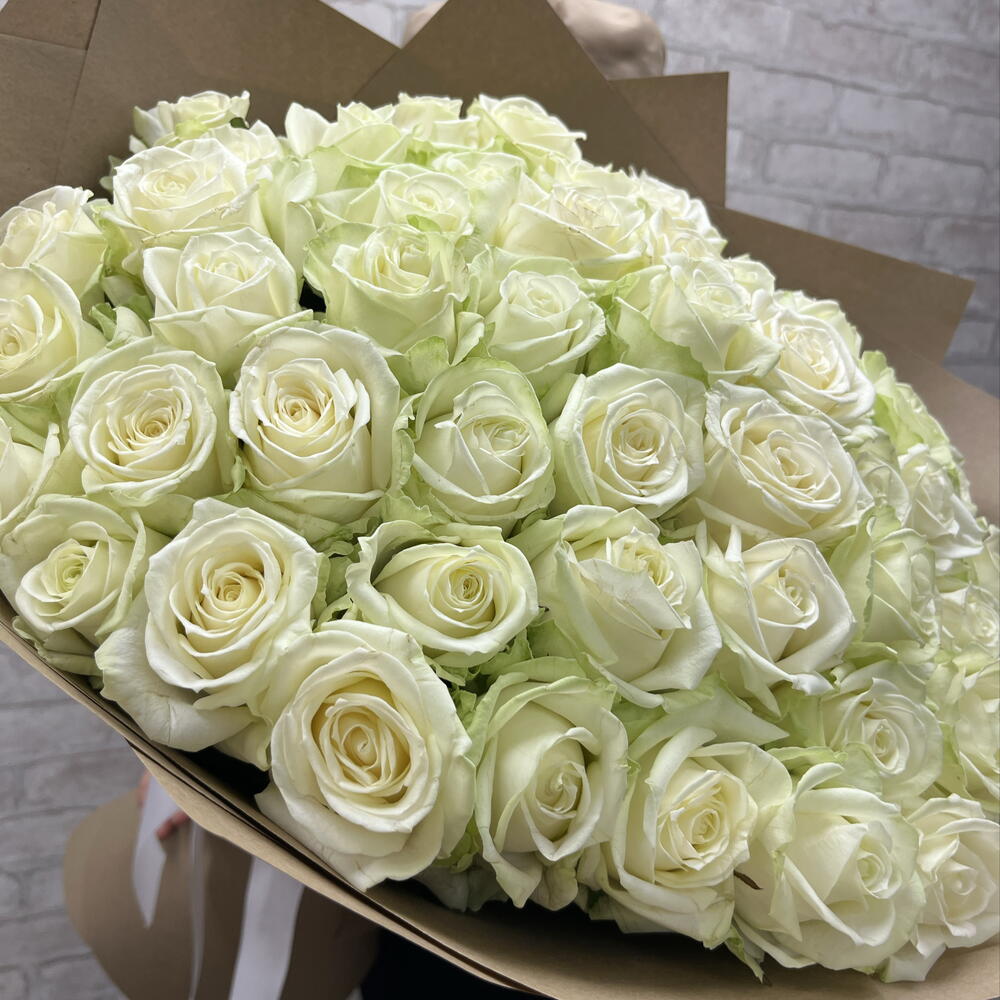 51 Белая Роза 🥰