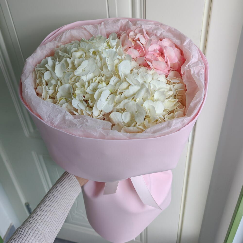 Зефирка🌷🩷