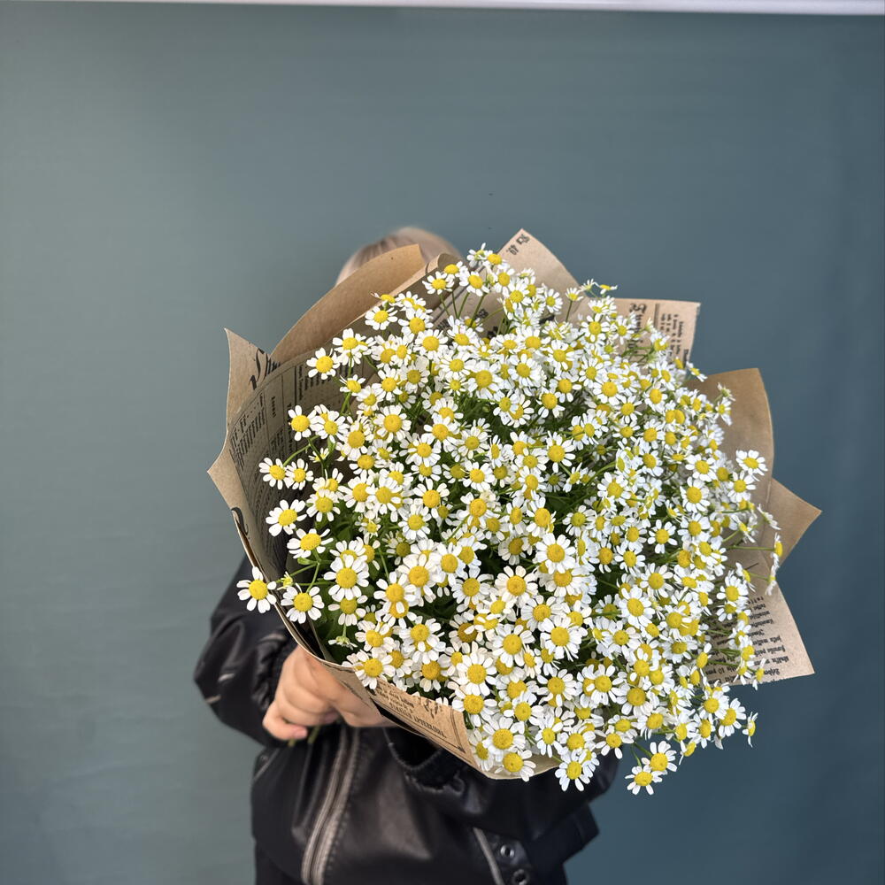 Монобукет из 15 кустовых ромашек 🌼