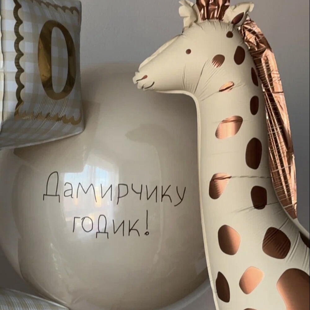 Воздушные шарики для ребенка на 1 годик ( годовасие )