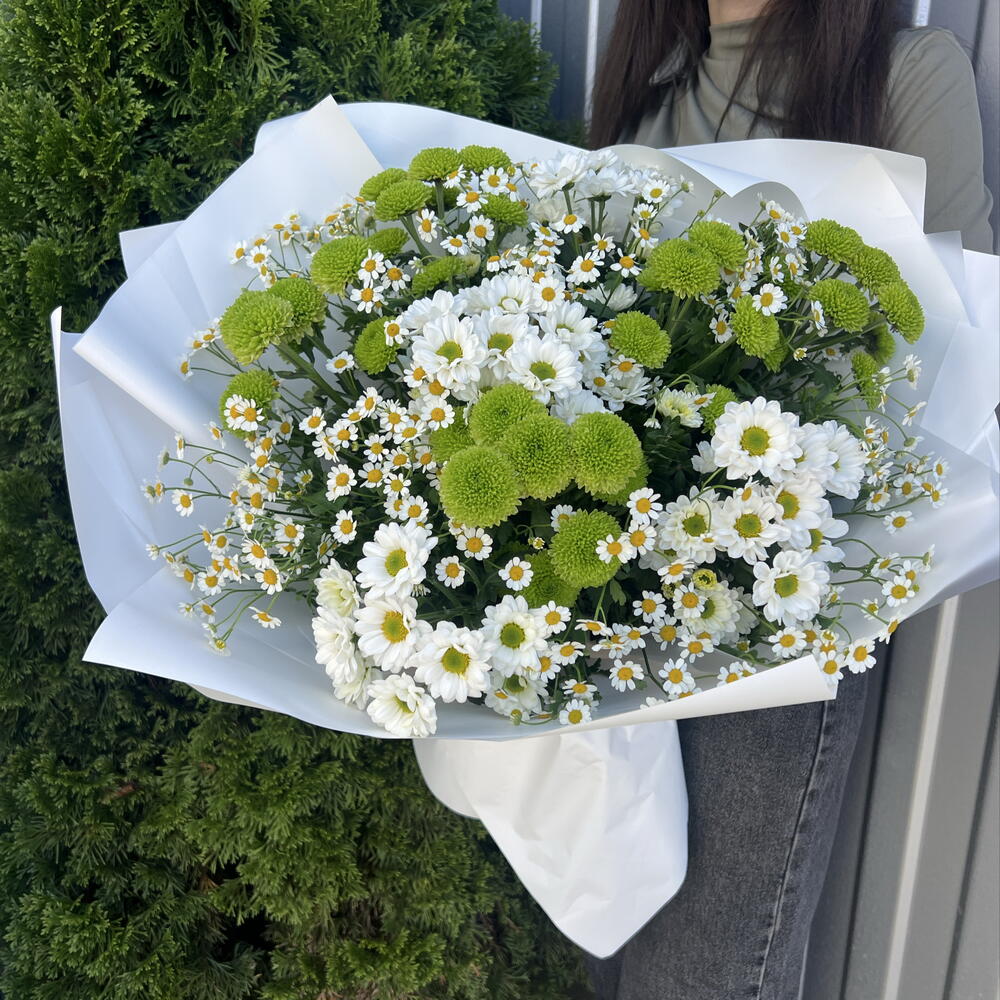 Хризантемы 💐