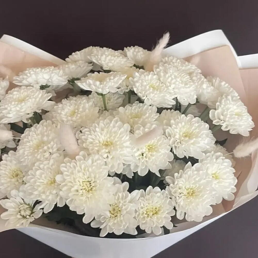 С лагурусом