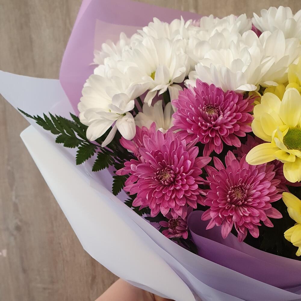 Chrysanthemum