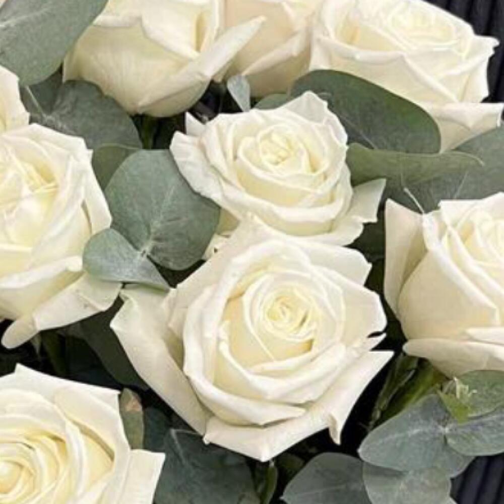 Белые розы с эвкалиптом 15 штук