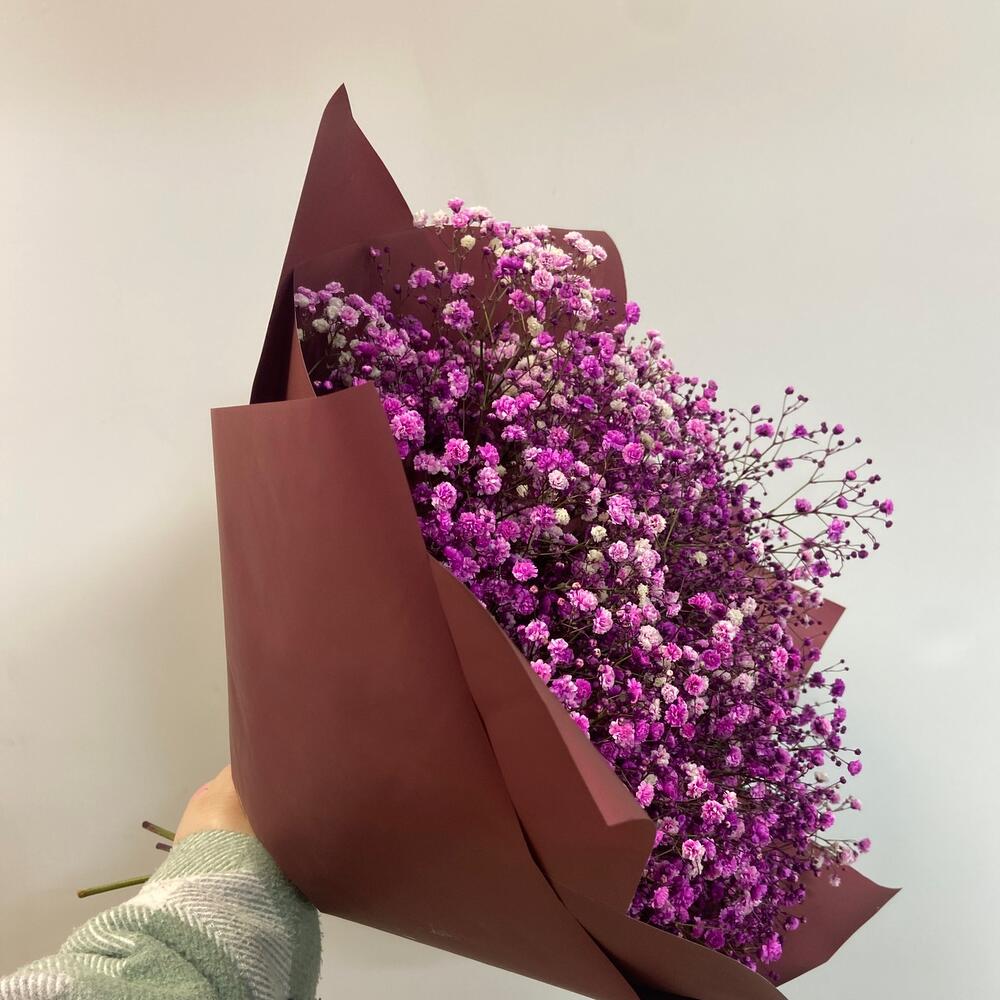 Ramo de gypsophila