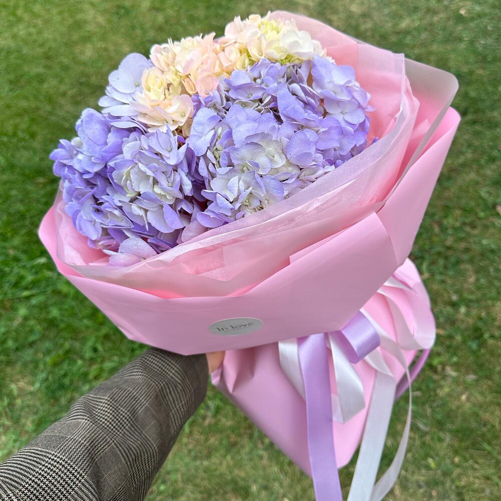 Гортензии💜🩷
