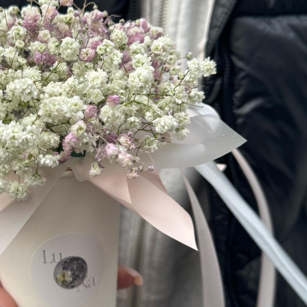 Gypsophila in a white coffee cup