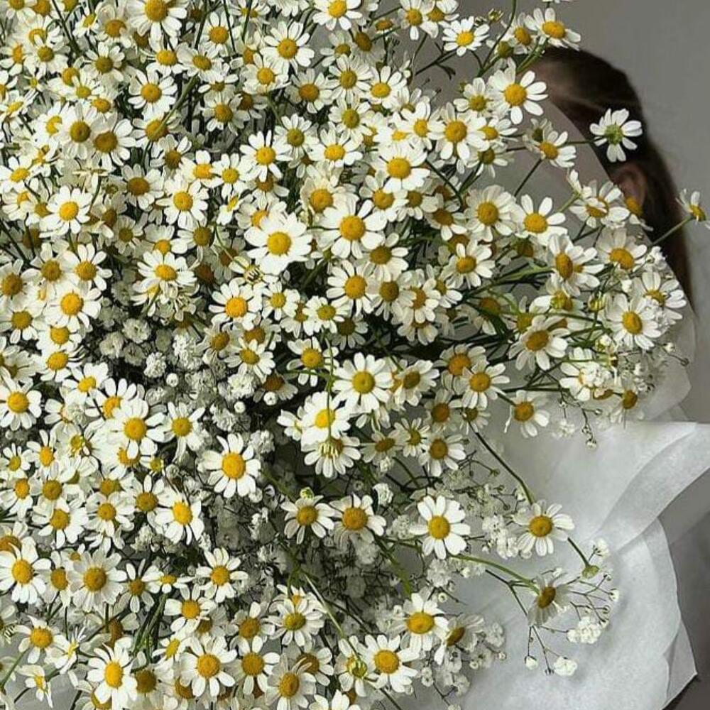 Букет кустовых полевых ромашек