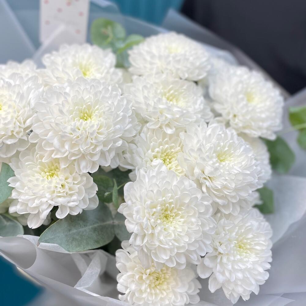🌸Хризантемы кустовые премиум сорта