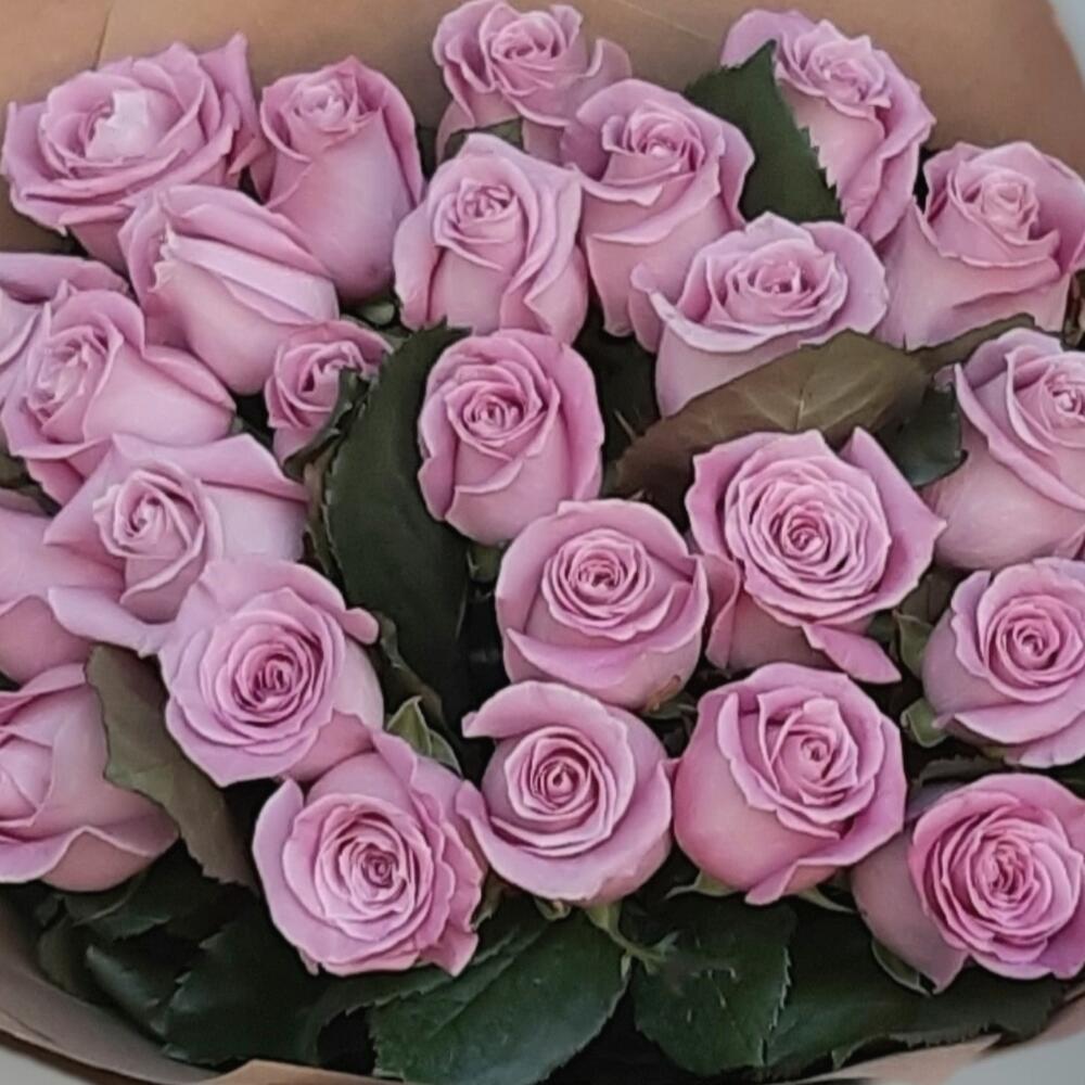 25 лавандовых роз 🌺