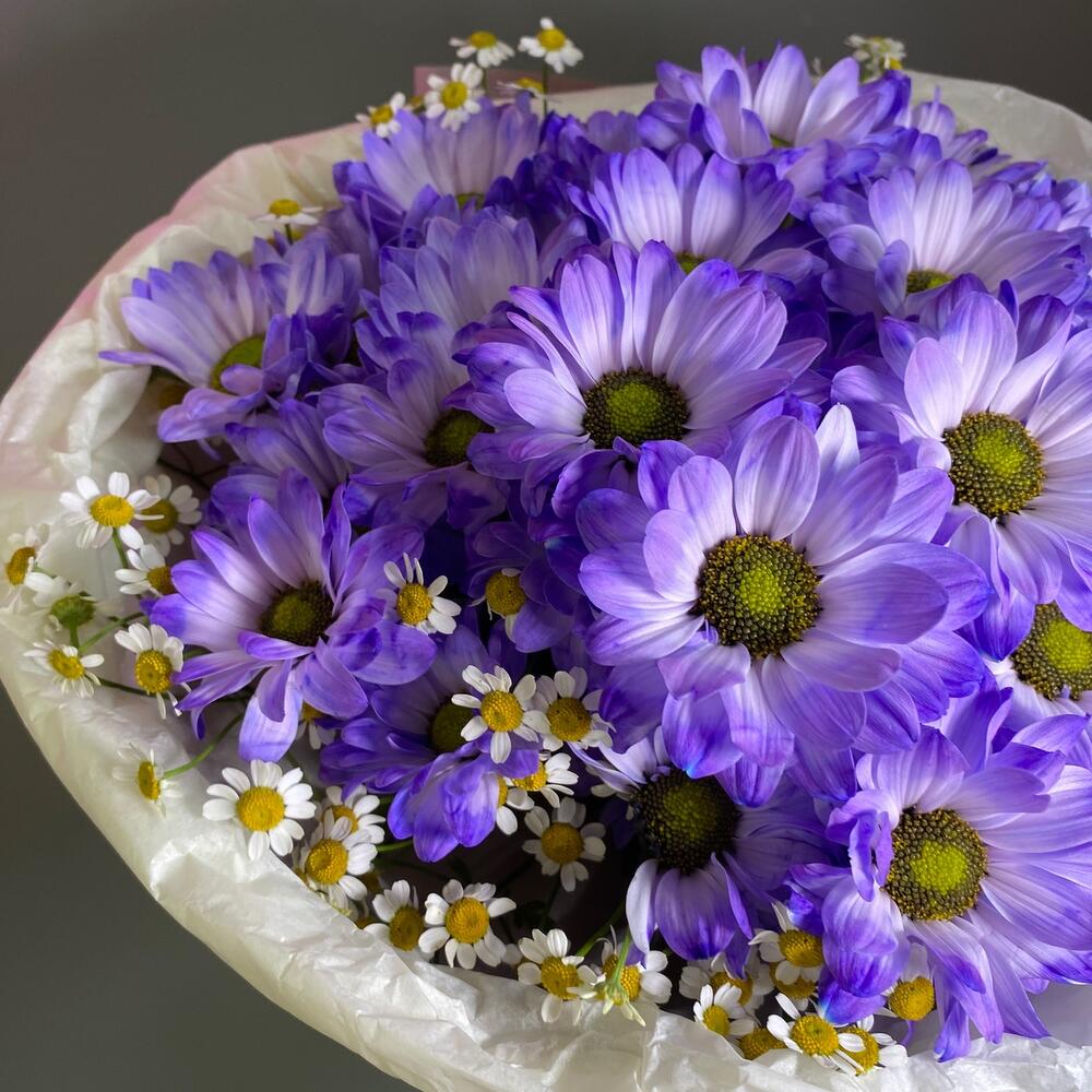 5 фиолетовых ромашек🌸